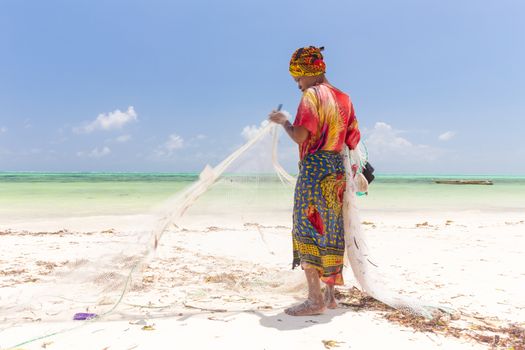 Traditional african local rural fishing on Paje beach, Zanzibar, Tanzania. Traditionally dressed local woman pulling fishing net, catching small fish.