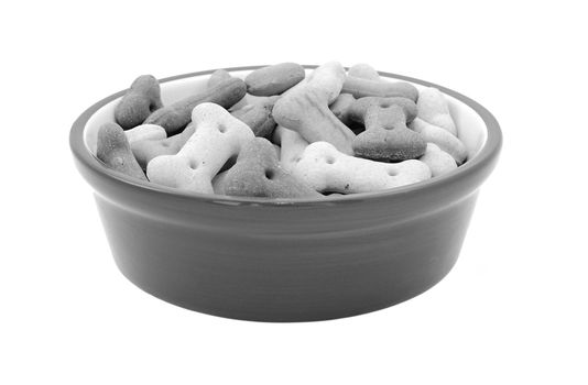 Dry bone-shaped dog biscuits in a pet food bowl, isolated on a white background