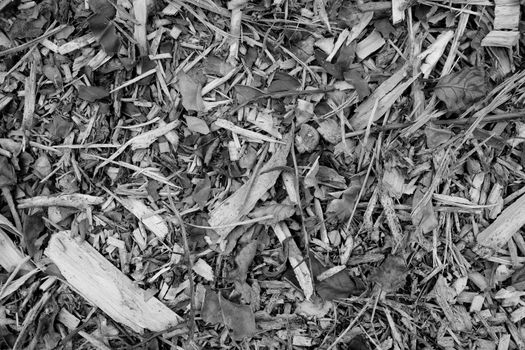 Coarse wood chippings as an abstract rough background texture - wood, twigs and leaves