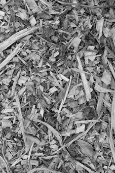 Bark, leaves and wood chippings mulch as an abstract coarse background texture