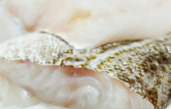 fresh uncooked sea bass filet on showcase of seafood market