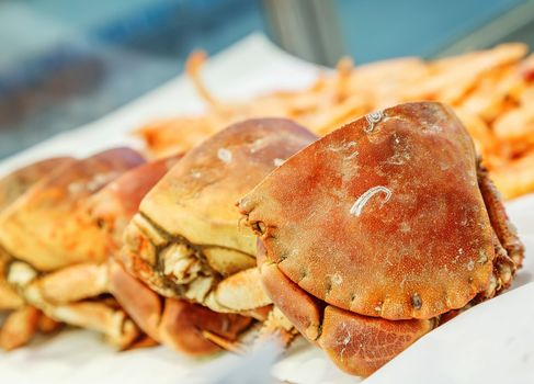 half of fresh crab on ice for sale in a fish market