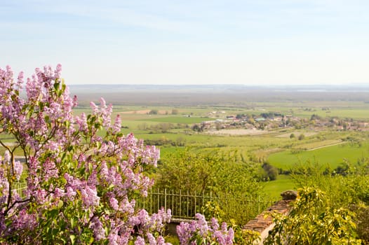 Lilac mauve with a view of the countryside of the lake of Madine in France