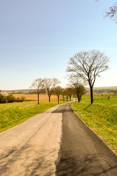 Small winding road in the countryside of the Meuse in France