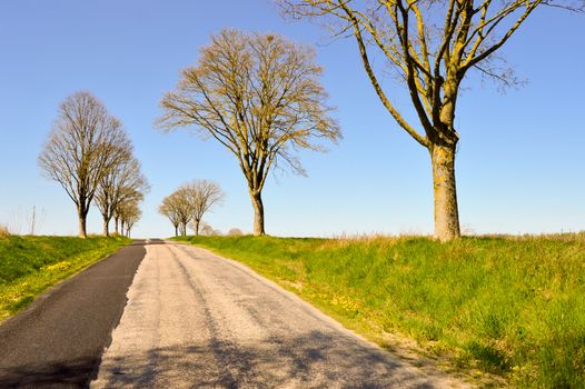 Small winding road in the countryside of the Meuse in France