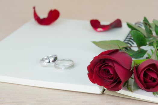 Red roses and rings for marriage proposal