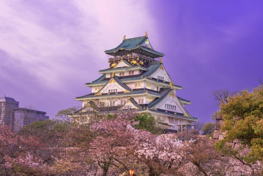 Osaka castle with cherry blossom.