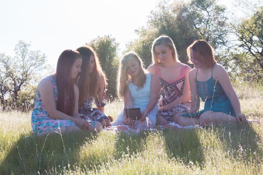 Group of Girls Sitting Together in Grassy Field With Sunlight Overhead