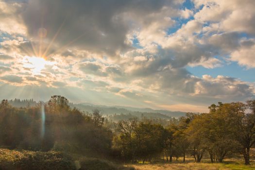 Sunlight Shinning Through the Morning Clouds Over the Forest