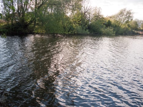 sunset over a lake in spring with moving waves ripples and clouds with trees around water in spring beauty close up of river water