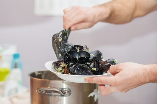 Steamed mussels in shells in the bowl with white wine on the table. Chief cooking mussels in cheese sauce.