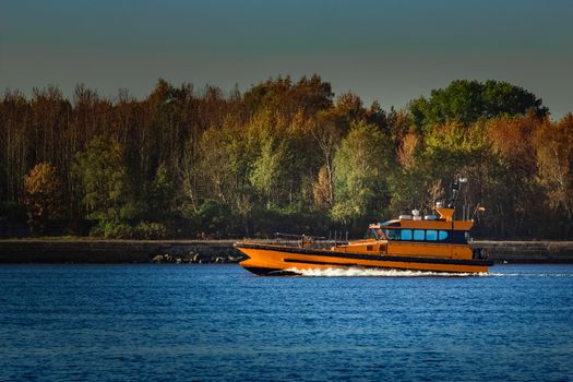 Orange pilot ship sailing past the autumn trees in Europe