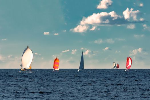 Sailboat regatta at summer in open Baltic sea