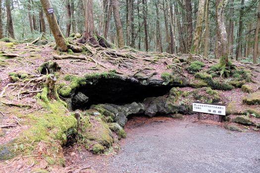 Ice Cave Entrance, Aokigahara Forest