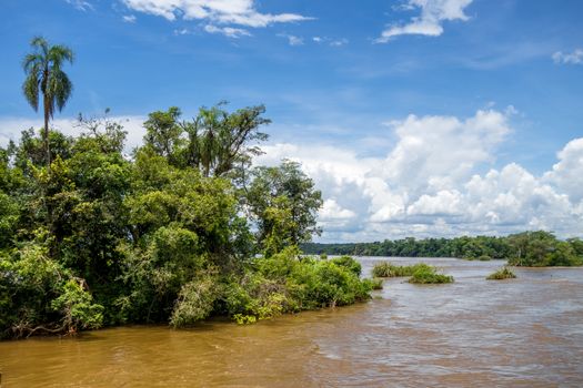 Parana river at iguazu falls national park. tropical rapids and rainforest landscape