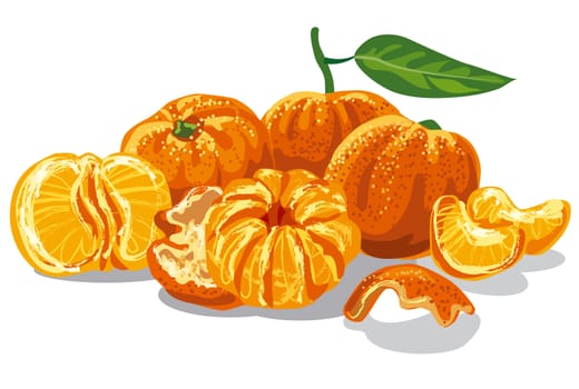illustration of fresh juicy mandarines with leave