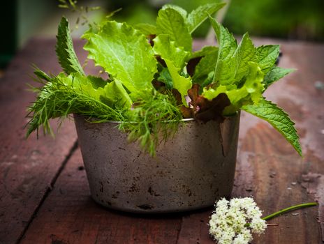 Fresh lettuce in rustic cup on a wooden background 