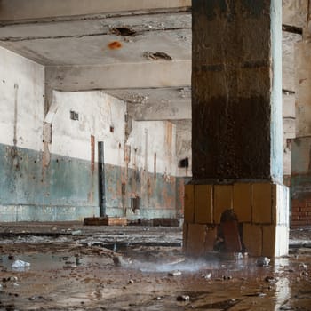 ruins of a very heavily polluted industrial factory, industrial series