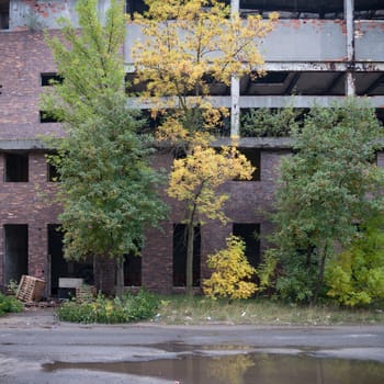 ruins of a very heavily polluted industrial factory, industrial series