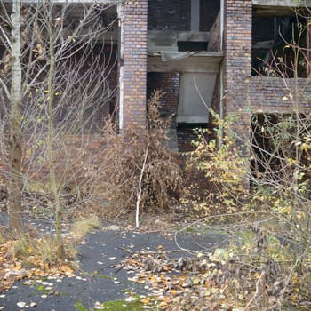 ruins of a very heavily polluted industrial factory, industrial series