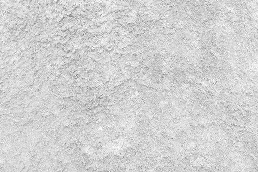 White Moss Wall Texture Background.