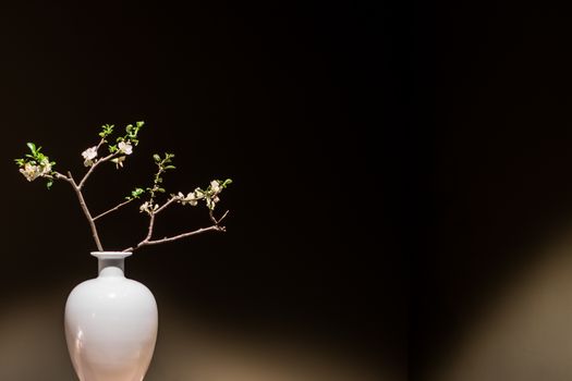 A white vase with cherry blossom, peaceful.