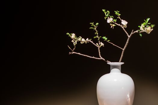 A white vase with cherry blossom, peaceful.