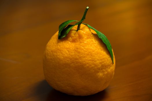 Dekopon Japanese organic orange on the wooden background