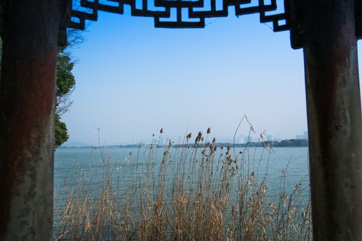 Flower grass on blue sky and river background