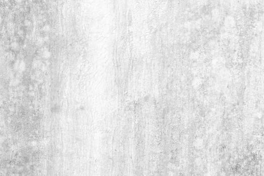 White Grunge Wooden Texture Background.