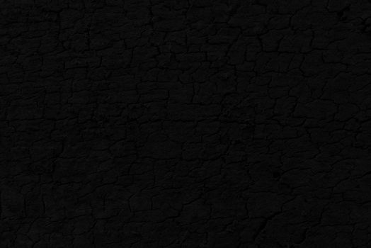 Black Bark Texture Background.