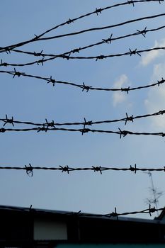 Silhouette of Barbed Wire Background.