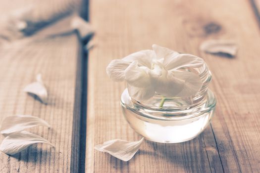 moisturising lotions and white flower, spa treatments