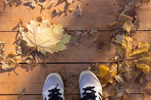 Autumn season in hipster style shoes. falling leaves