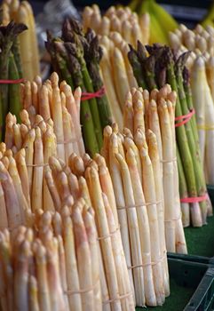 Bundle bunch of fresh white and green garden asparagus shoots close up, elevated high angle view