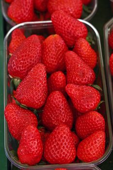 Close up of fresh red ripe strawberries in transparent plastic container box on retail market display, high angle view