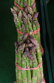 Bundles bunch of fresh green garden asparagus shoots close up, elevated high angle view