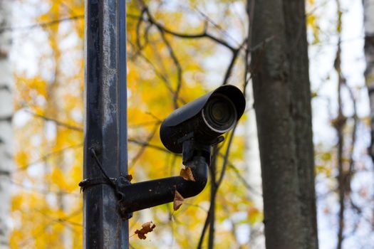 Urban security video camera outdoors at a park