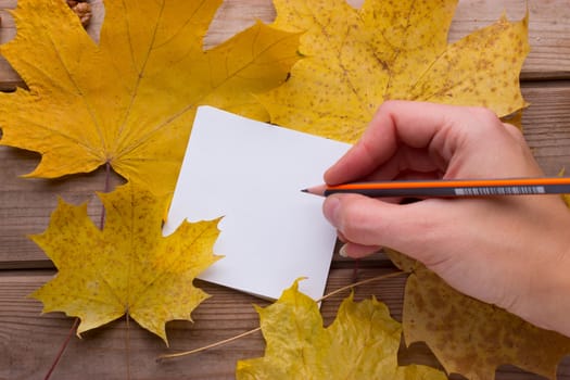 A female hand and pen. copy space