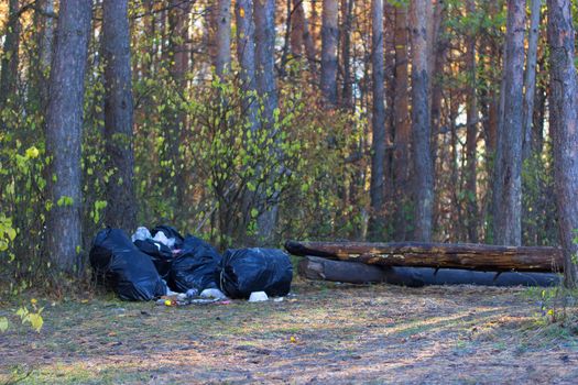 packages full of garbage in a park