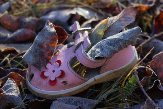 pink shoe for baby girl on ground of Autumn leaves