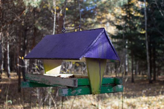 bird feeders. tree house for the birds, cheerful apartment