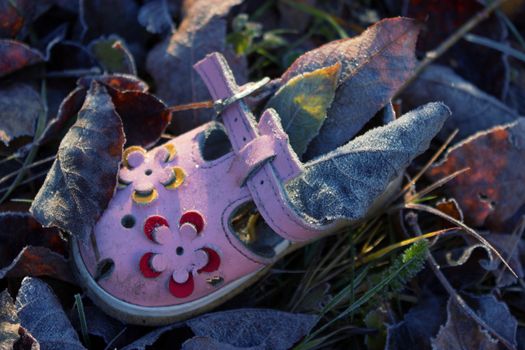 pink shoe for baby girl on ground of Autumn leaves