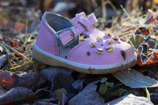 pink shoe for baby girl on ground of Autumn leaves