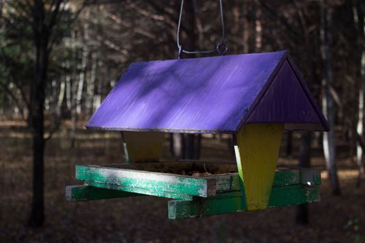 bird feeders. tree house for the birds, cheerful apartment