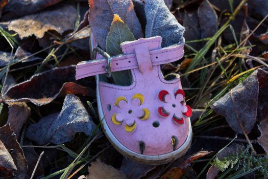 pink shoe for baby girl on ground of Autumn leaves