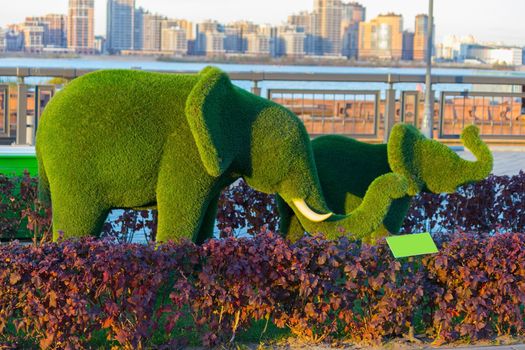 green elephants made by clipping trees. Kazan, Russia