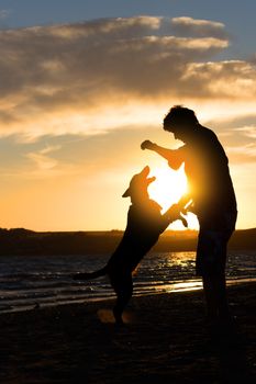 Young man with his dog in nature - back lit