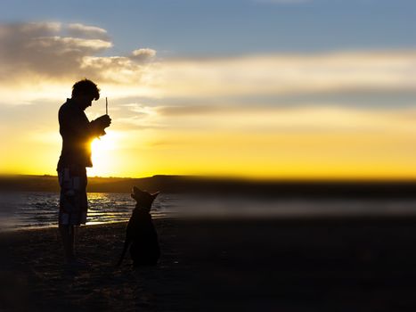 sihouette of dog and host on the beach