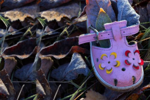 pink shoe for baby girl on ground of Autumn leaves